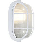 Outdoor Ceiling Lights