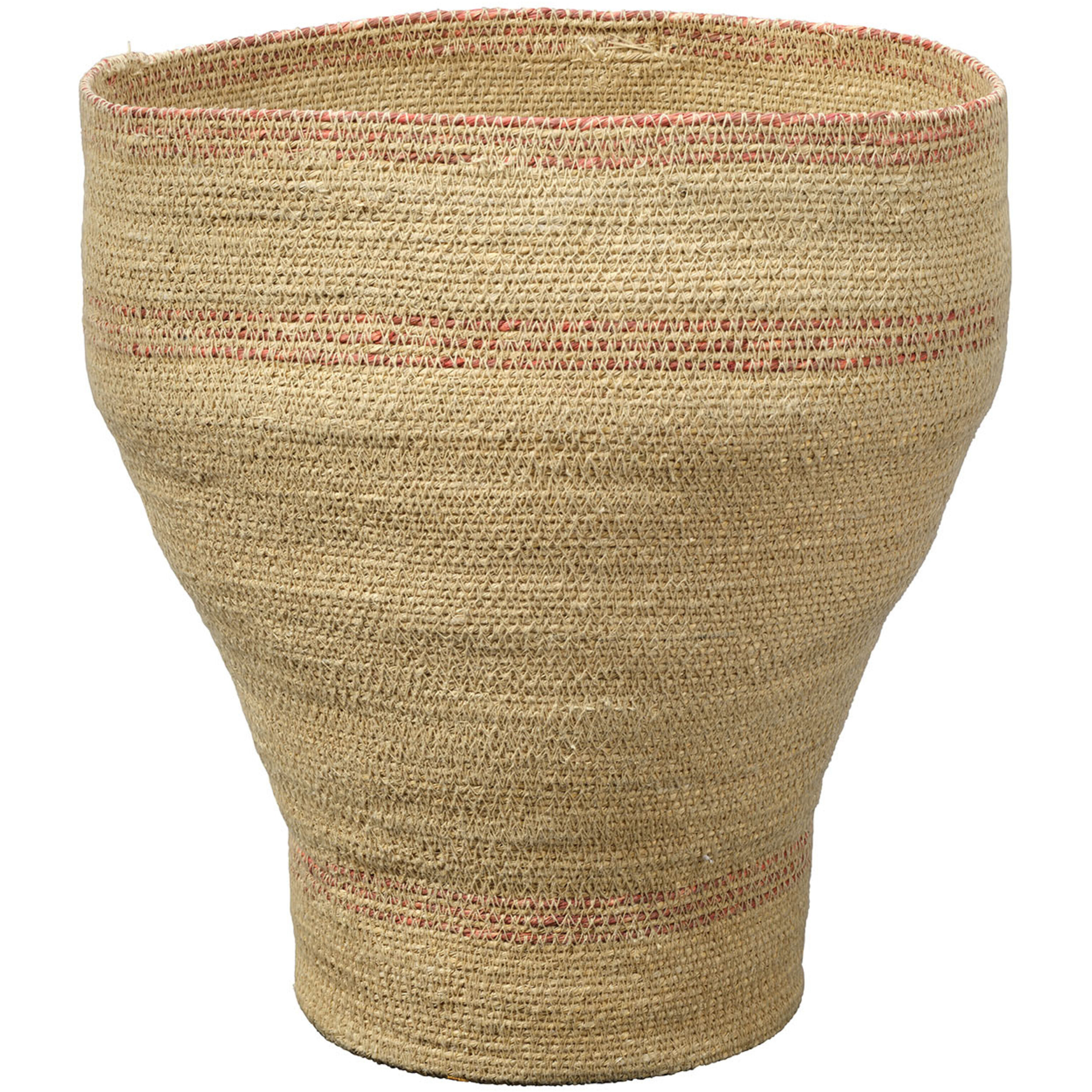 Trophy 15.50 inch  X 12.00 inch Decorative Basket