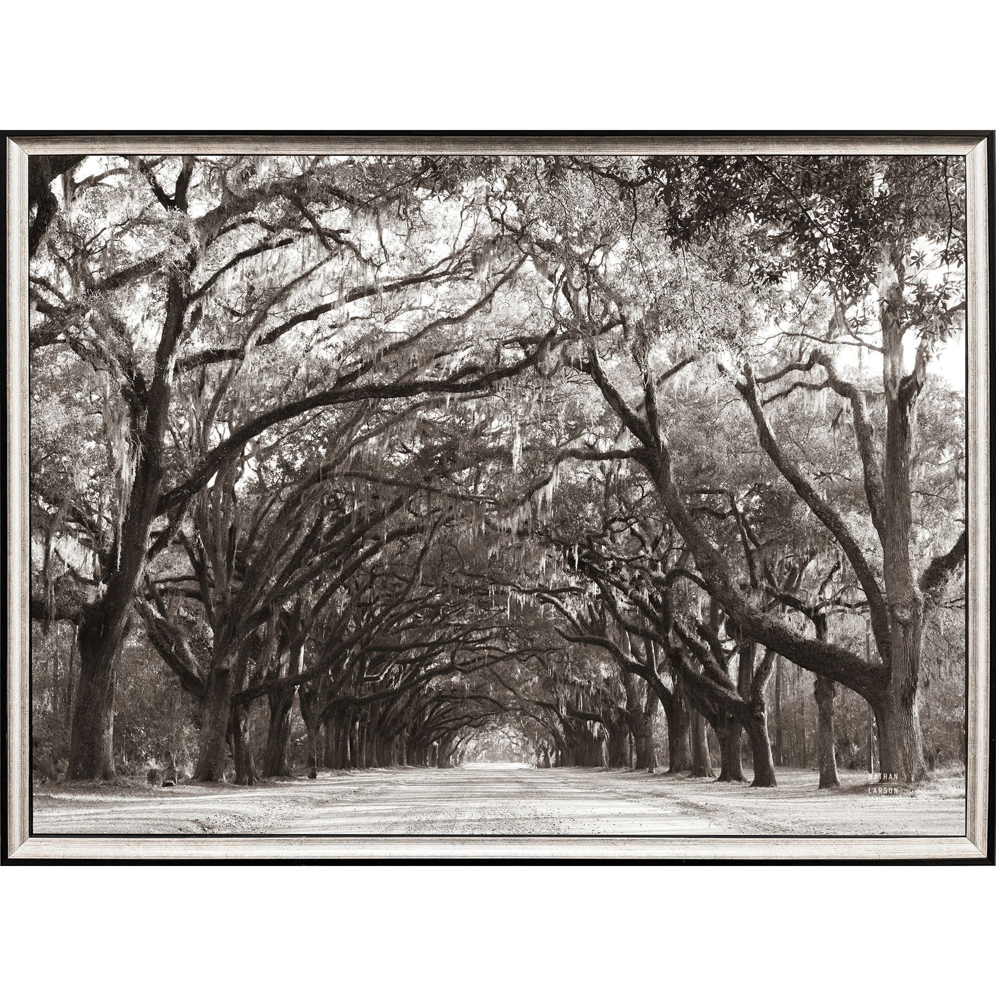 Propac 31 X 24 inch Non-Glass Framed Art, Propac