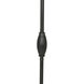 Grace 64.13 inch 150.00 watt Deep Patina Bronze Floor Lamp Portable Light