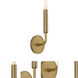 Mavisten Edition Carbonia LED 5.25 inch Lacquered Burnished Brass Wall Sconce Wall Light
