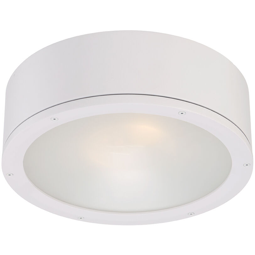 Tube 1 Light 12.00 inch Outdoor Ceiling Light