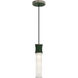 Kane 1 Light 5 inch Jungle with Polished Nickel Pendant Ceiling Light