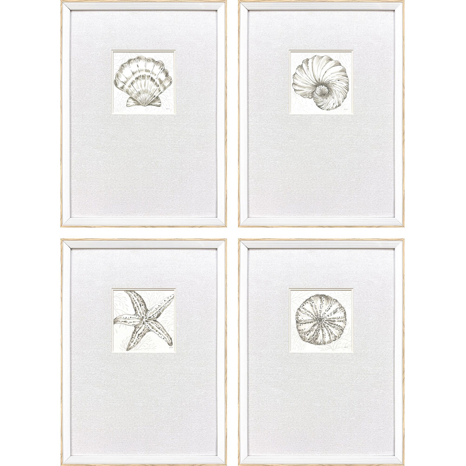 Coastal Reef Brown and Beige and Neutral and Sepia Framed Art