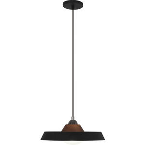 Mavisten Edition Far LED 14 inch Black Pendant Ceiling Light