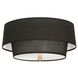 Decker 2 Light 17 inch Modern Brass Flushmount Ceiling Light in Raven Black